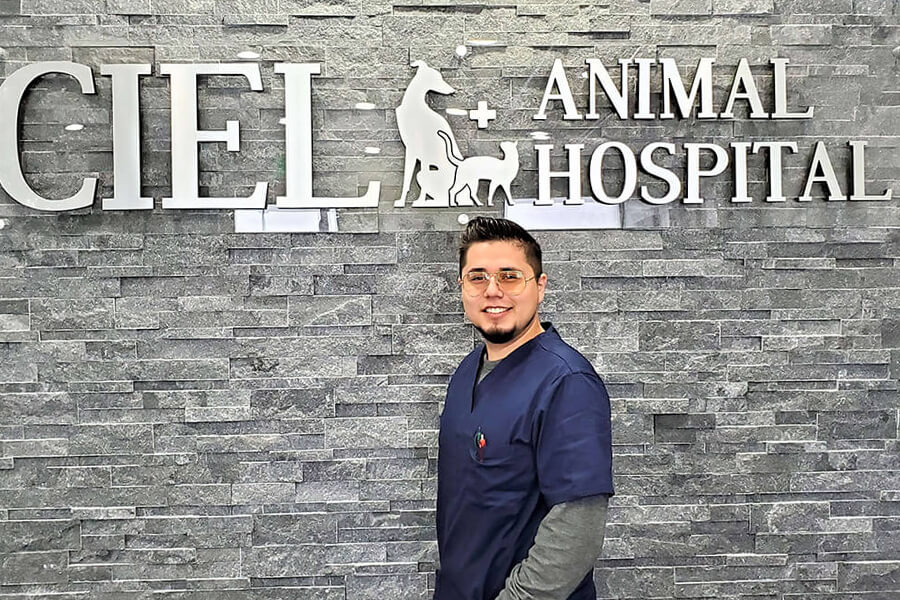 ciel-animal-hospital-technician