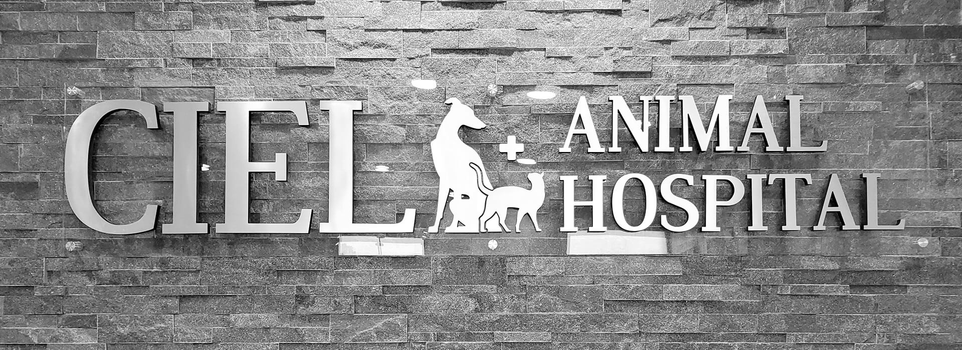 ciel-animal-hospital-main